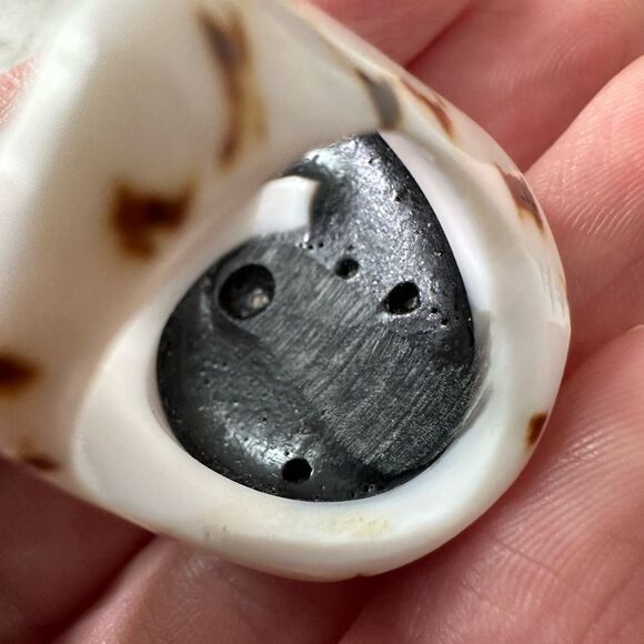 Vintage Chunky Shell And Mother And Pearl Carved Cocktail Ring - Picture 3 of 9